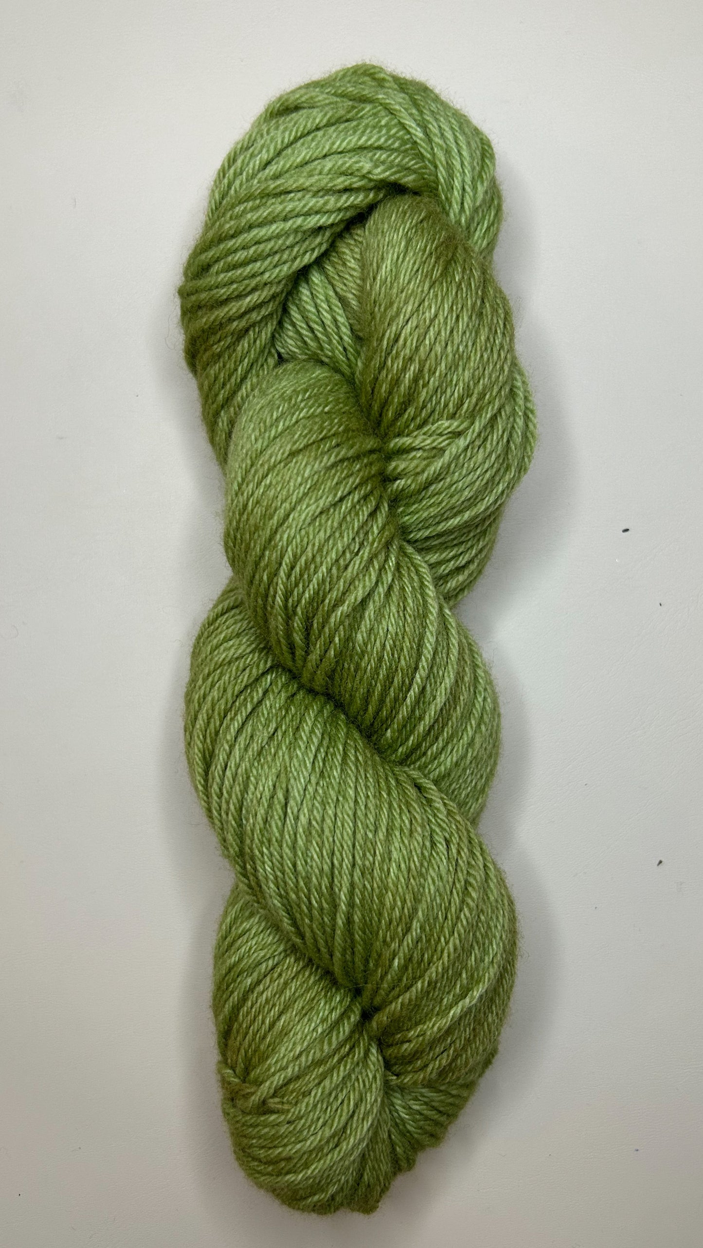 Worsted Weight- Non-Superwash Merino Wool: Pesto