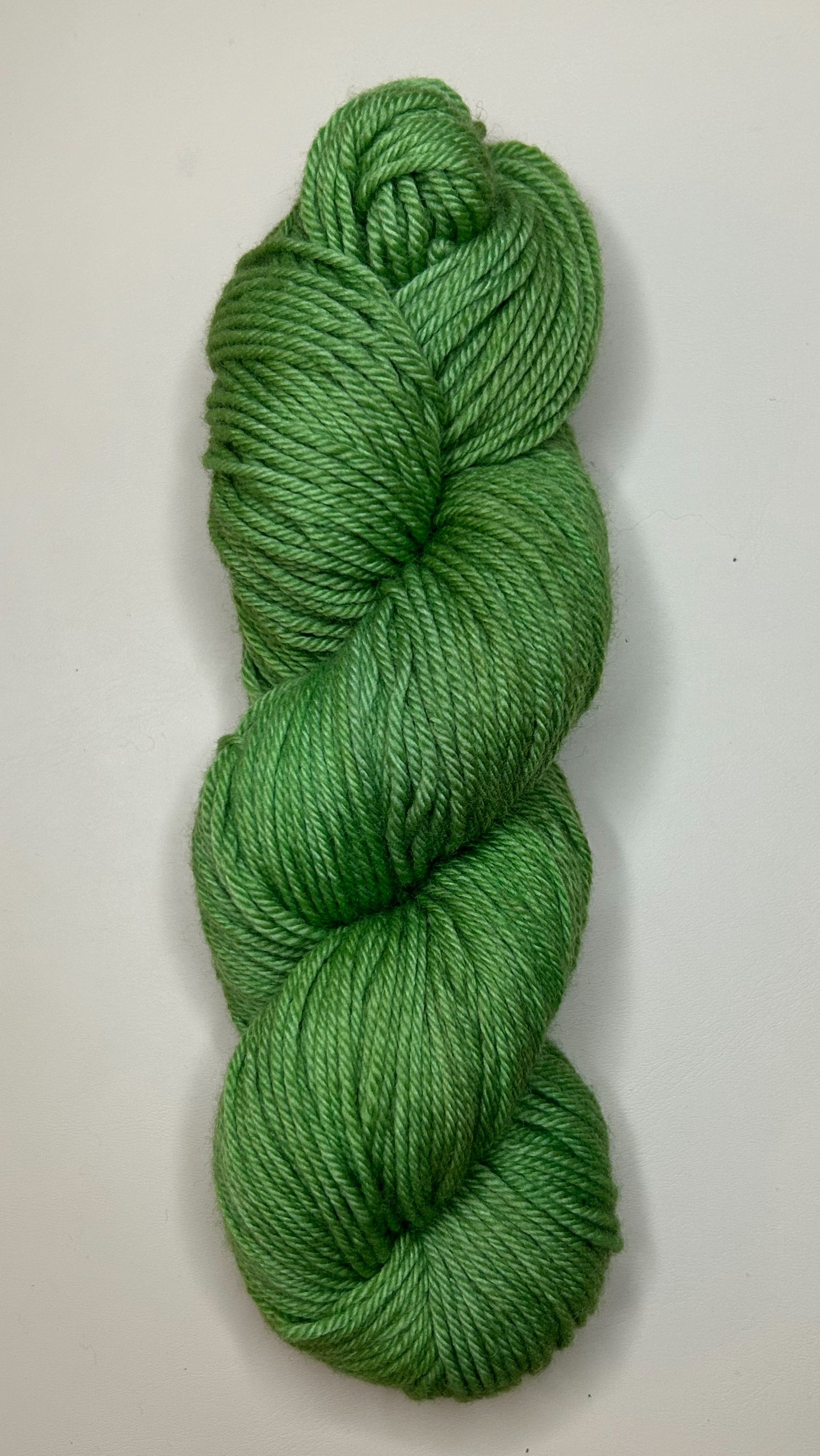 Worsted Weight- Non-Superwash Merino Wool: Bright Forest