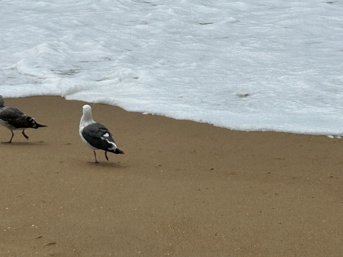 The Wedge