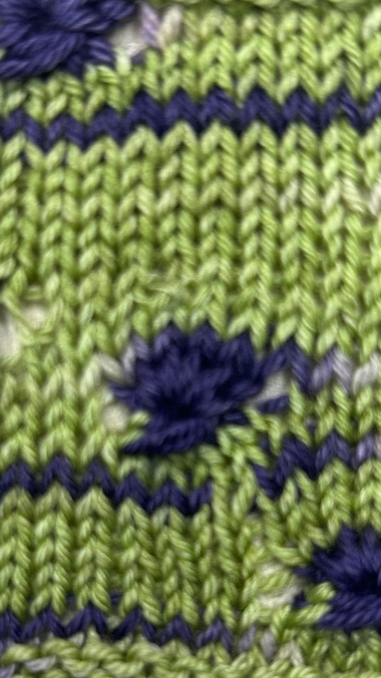 Succulent Garden: California Collection