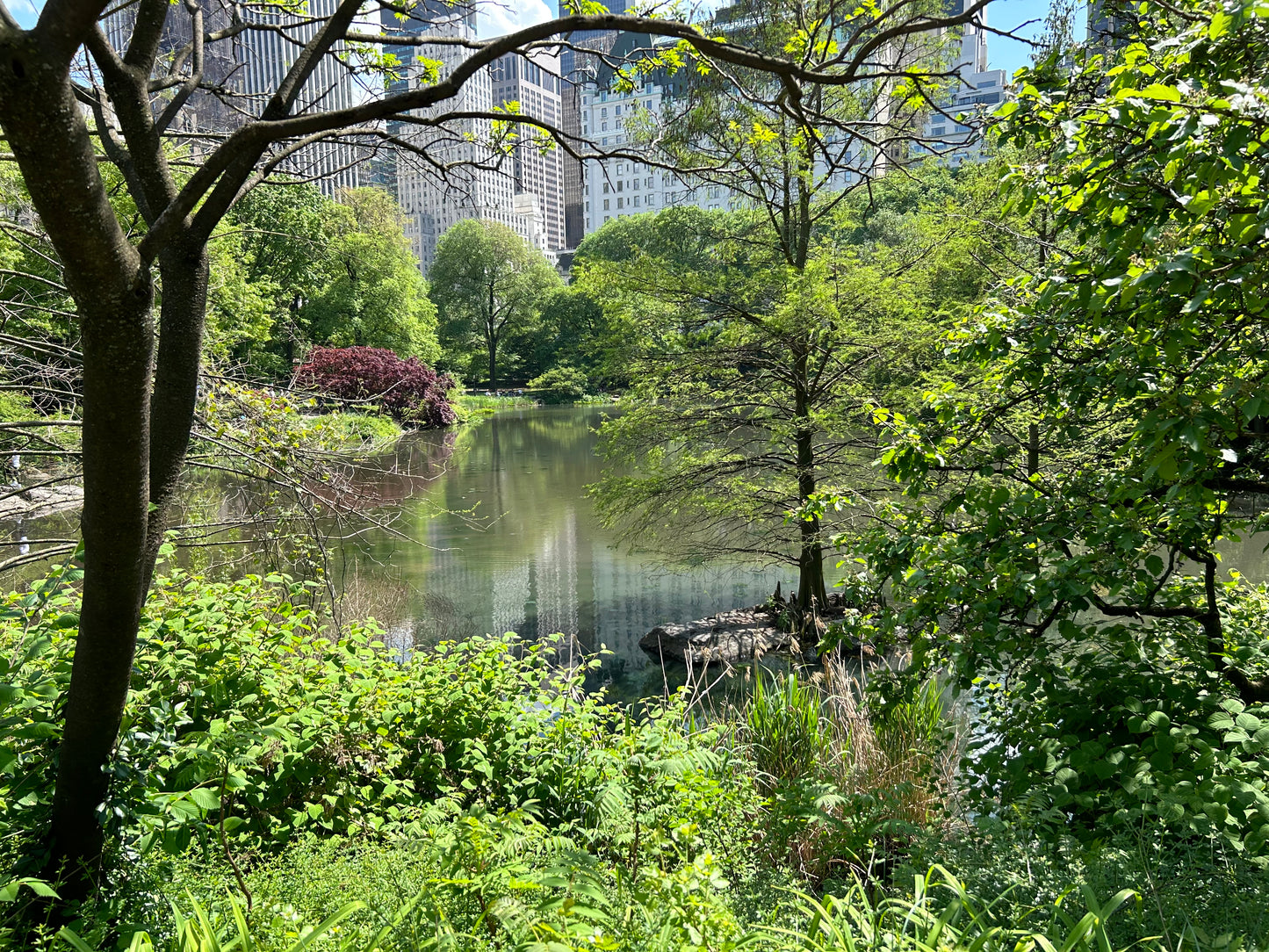 Central Park