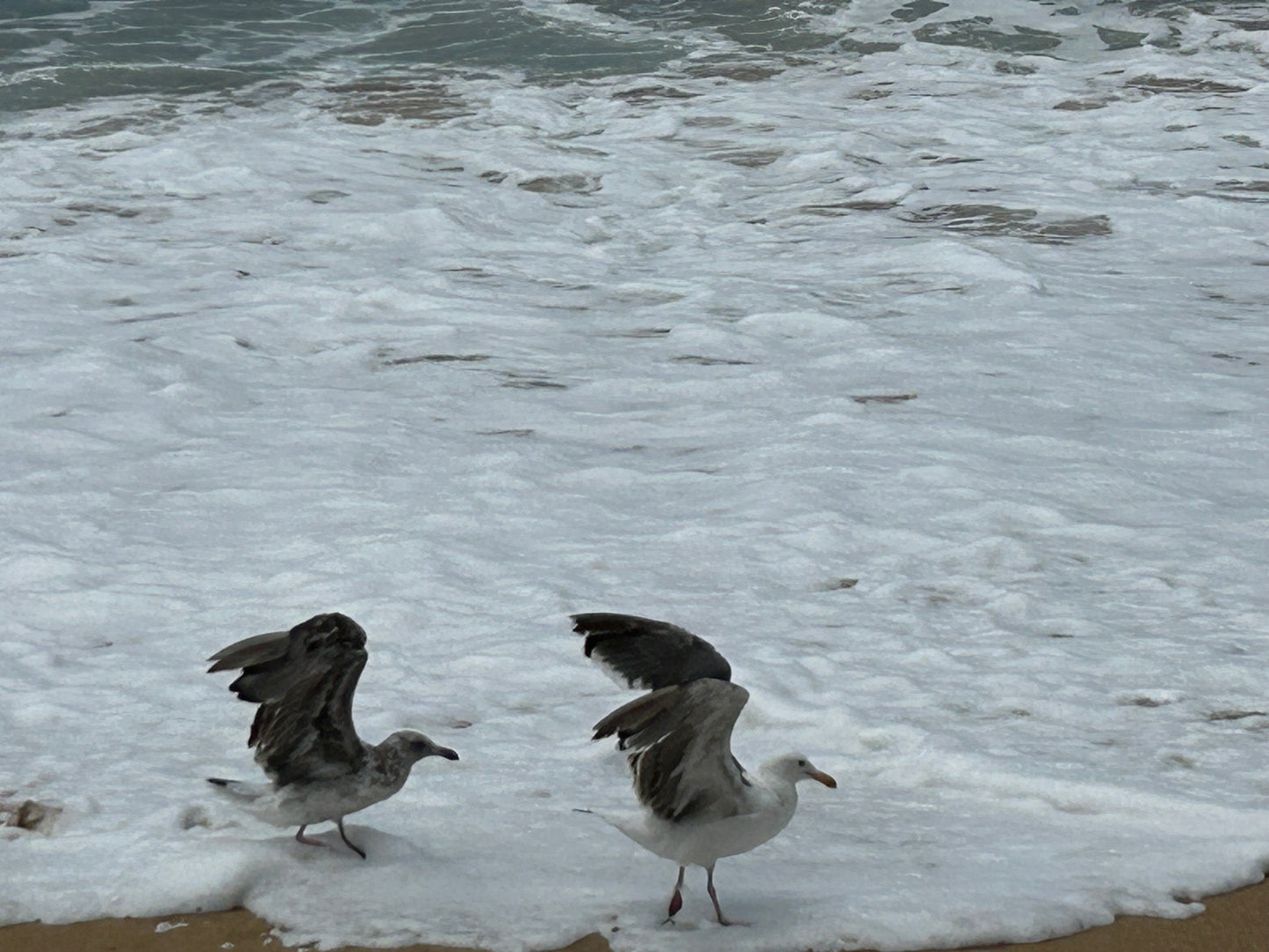 The Wedge