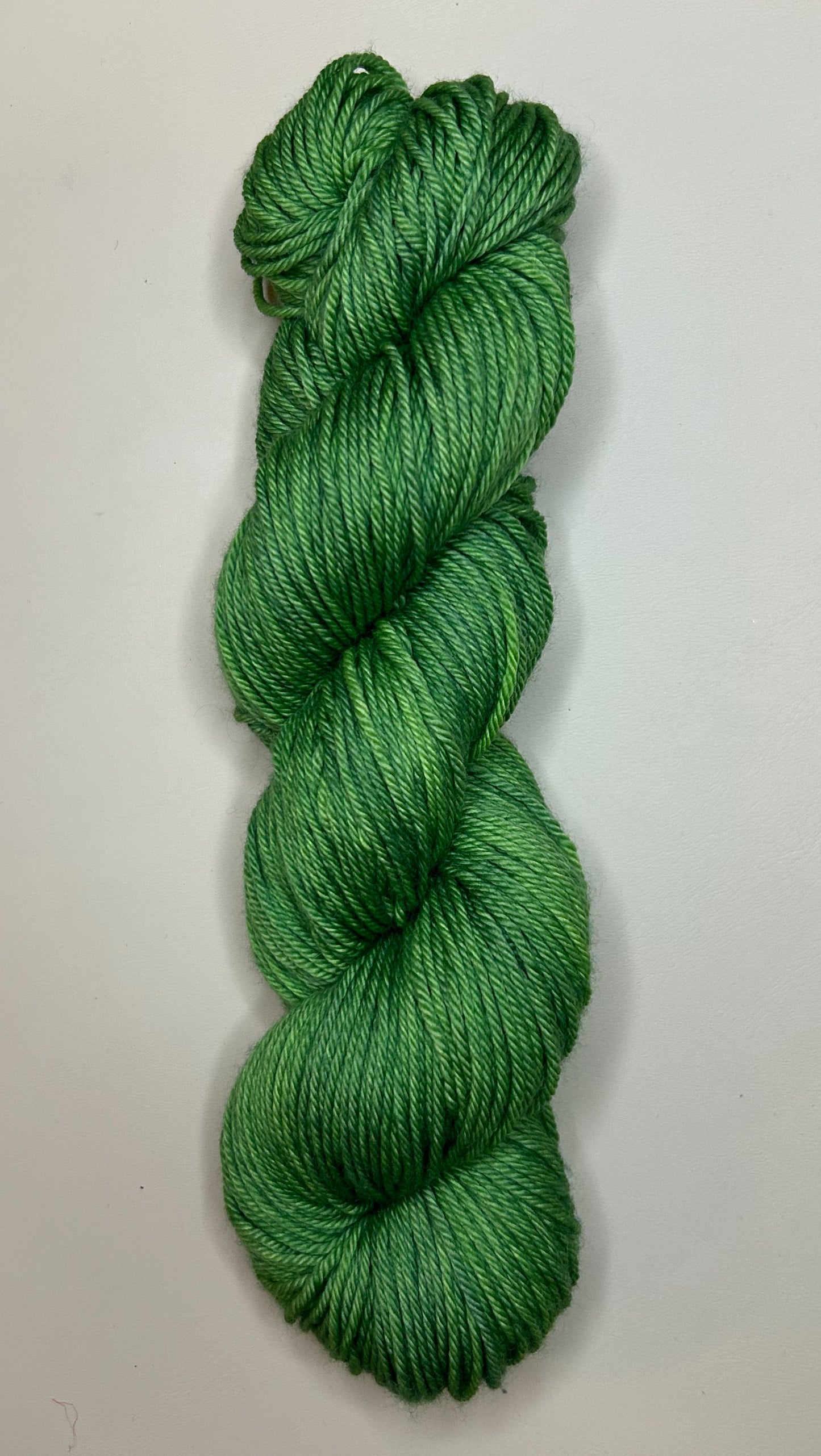 Worsted Weight - 100% Extrafine Superwash Merino: Bright Forest