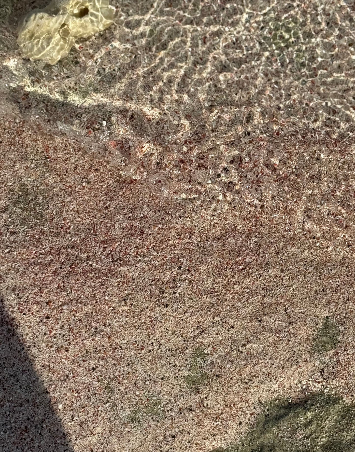 Pink Sand Beach