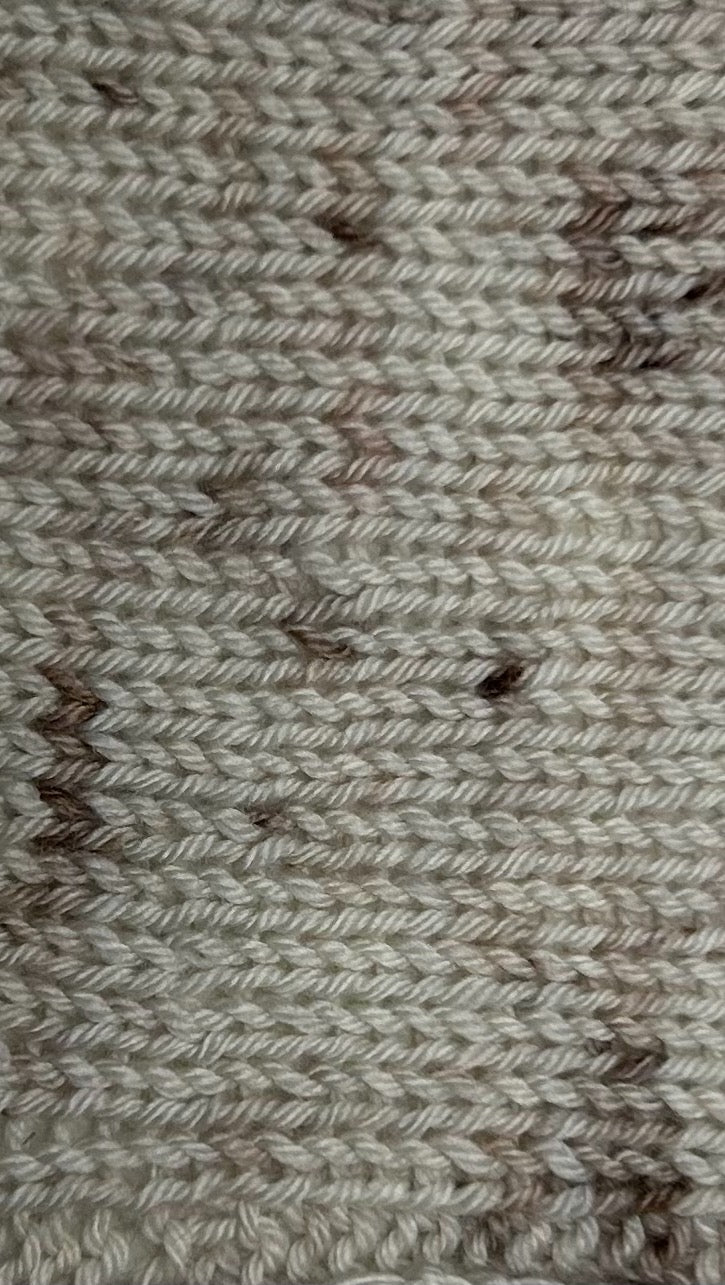 Birch Bark: Minnesota Collection