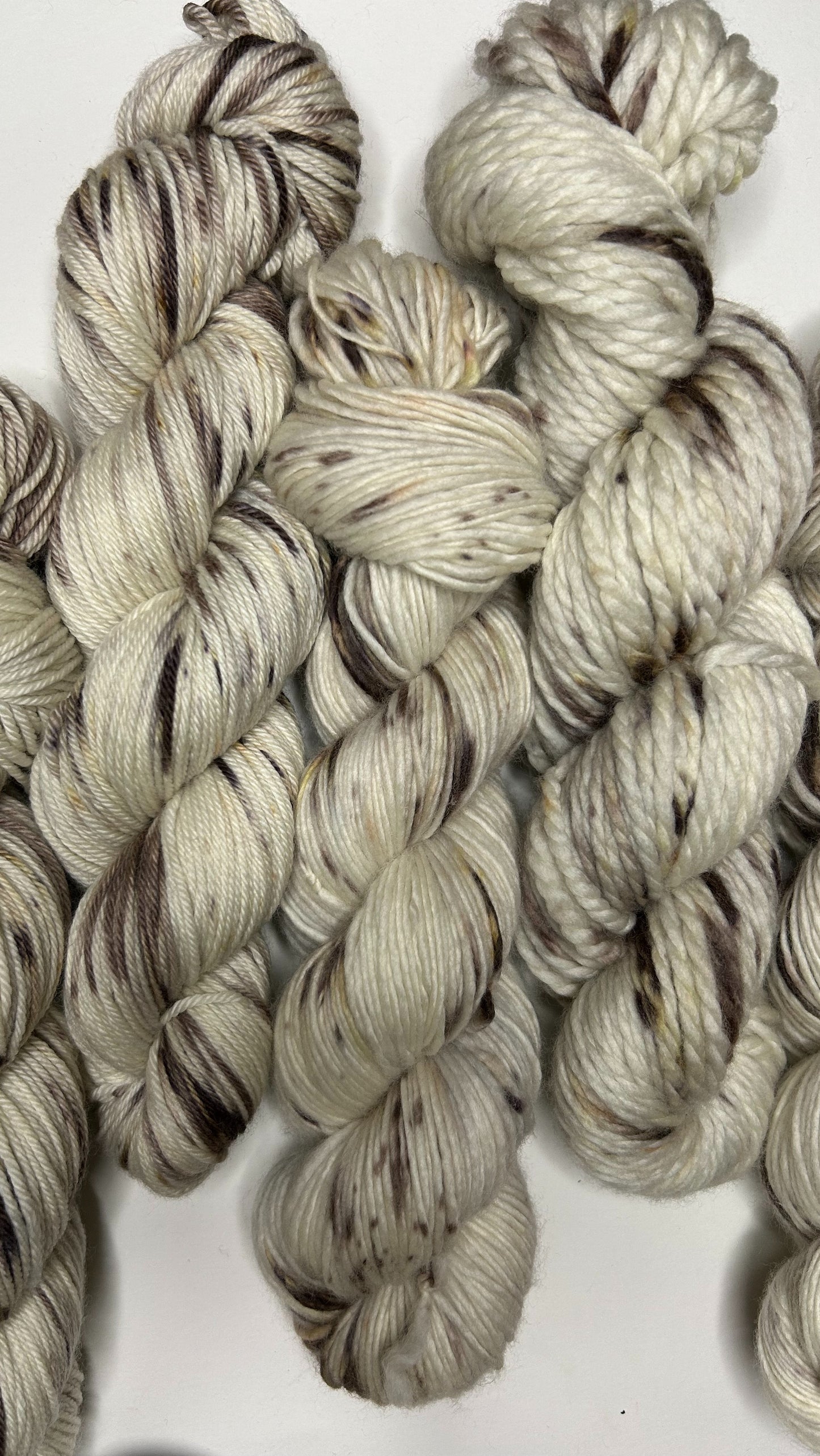 Birch Bark: Minnesota Collection